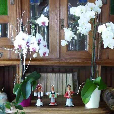 Affittacamere Cr Luarri