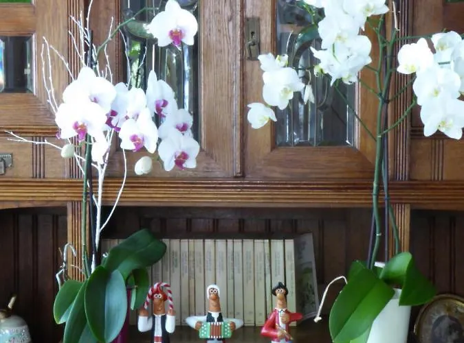 بيت ضيافة Cr Luarri