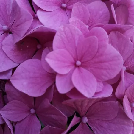 Vendégház Cr Luarri San Sebastián